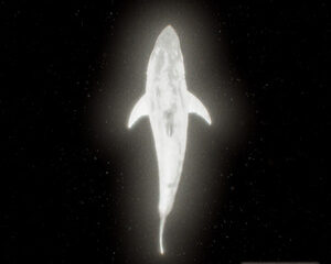 yandel-confirma-su-vigencia-dentro-de-la-escena-latina-con-su-album-infinito